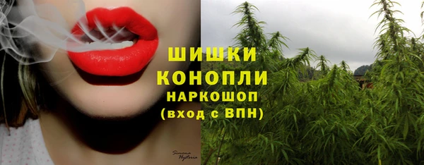 ПСИЛОЦИБИНОВЫЕ ГРИБЫ Лабытнанги