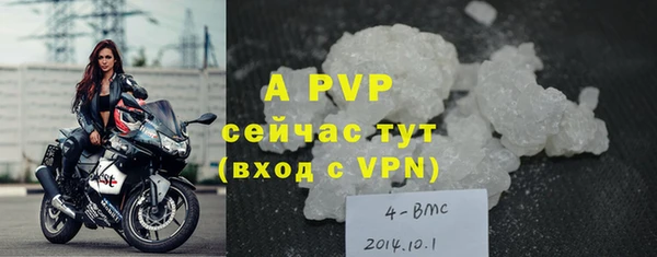 ПСИЛОЦИБИНОВЫЕ ГРИБЫ Лабытнанги