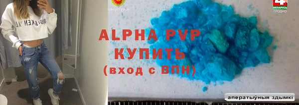 стаф Ладушкин