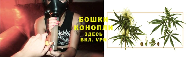 стаф Ладушкин