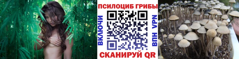 Псилоцибиновые грибы MAGIC MUSHROOMS  маркетплейс клад  Томмот  как найти  